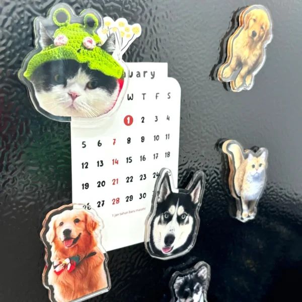Customised Fridge Magnets (Acrylic- MOQ-500)