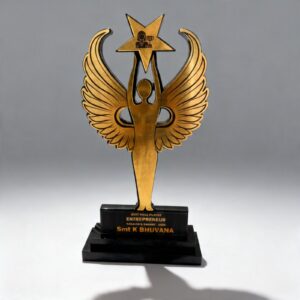 Star Wings Award
